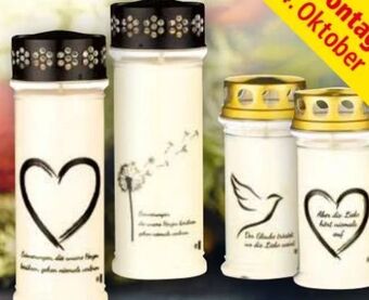 Norma Grablicht Angebot