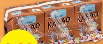 PENNY Kakao milch Angebot