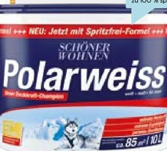 Hellweg Polarweiß Angebot