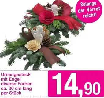 Sutterlüty Urnengesteck mit Engel diverse Farben 30 cm Lang Angebot