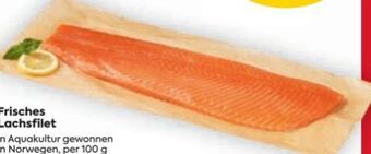 Billa Lachsfilet Angebot
