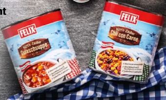 Hofer Fertiggerichte Angebot