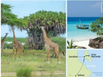 Hofer Tansania-sansibar safari-baden Angebot