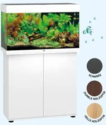 Dehner Juwel aquarium-kombination rio 125 Angebot