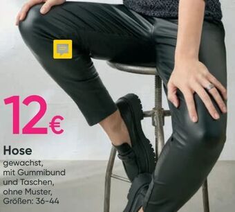 Pepco Damen hose Angebot