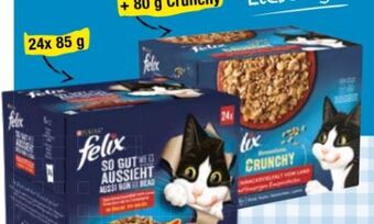 Maximarkt Felix katzennahrung Angebot