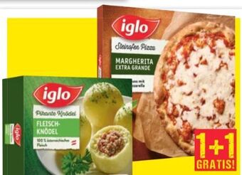 Maximarkt Pikante knödel Angebot