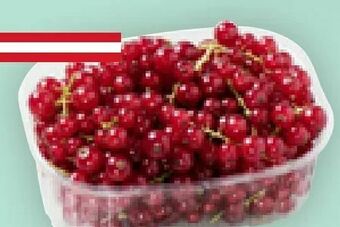 Billa Ribiseln Angebot
