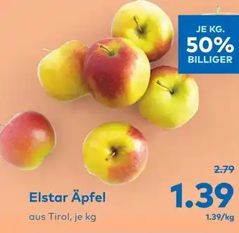 T&G Elstar Äpfel Angebot