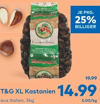 T&G T&G XL Kastanien 3kg Angebot