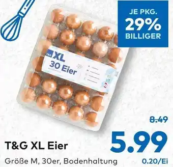 T&G T&G XL Eier Angebot
