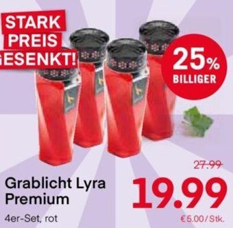 MPreis Grablicht Lyra Premium Angebot
