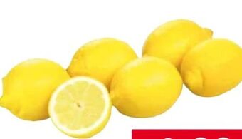 Transgourmet Zitronen Angebot