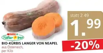 Spar Bio-Kürbis Langer Von Neapel per kilo Angebot