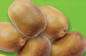 Lidl Kiwi gold Angebot