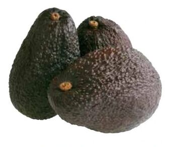 Transgourmet Avocado hass Angebot