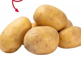 Transgourmet Ofenkartoffel Angebot