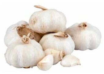 Transgourmet Knoblauch Angebot