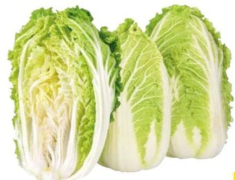 Transgourmet Chinakohl Angebot