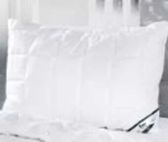 Möbel Ludwig Kissen Angebot