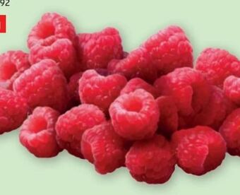 PENNY Himbeeren Angebot