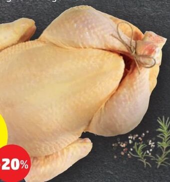 PENNY Huhn grillfertig Angebot