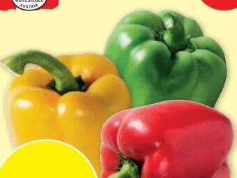 PENNY Paprika Angebot