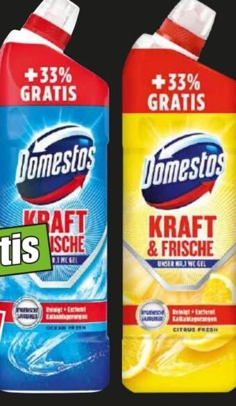 Norma Wc gel Angebot