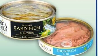 Norma Fisch spezialitäten Angebot