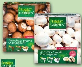 Norma Champignon anzuchtset Angebot