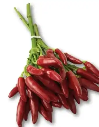 Chili bund