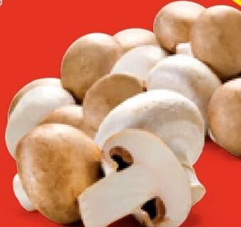 Hofer Champignons Angebot