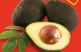 Hofer Avocados Angebot