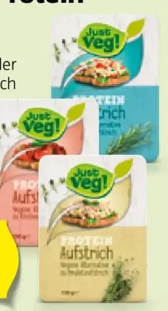 Hofer Veganer protein-aufstrich Angebot