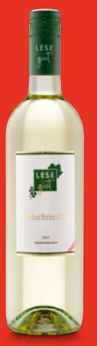 Hofer Welschriesling Angebot