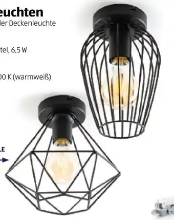Hofer Led retro-leuchten Angebot