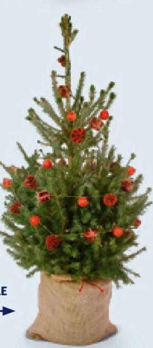 Hofer Geschmückter weihnachtsbaum Angebot