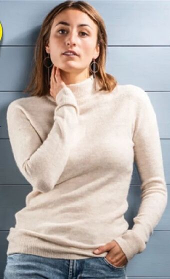 Hofer Damen-pullover Angebot