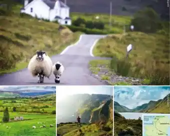 Hofer Reisen Wanderreise irland Angebot