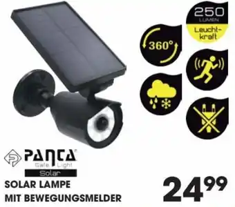 Libro Panta Solar Lampe Mit Bewegungsmelder Angebot
