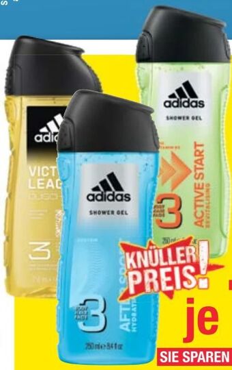 Maximarkt Duschgel Angebot