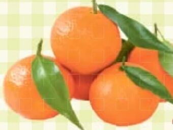 Maximarkt Clementinen Angebot