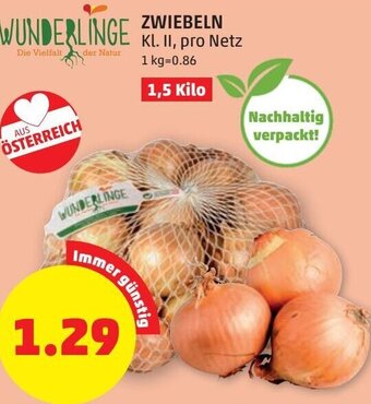 PENNY Zwiebeln 1,5 kilo Angebot
