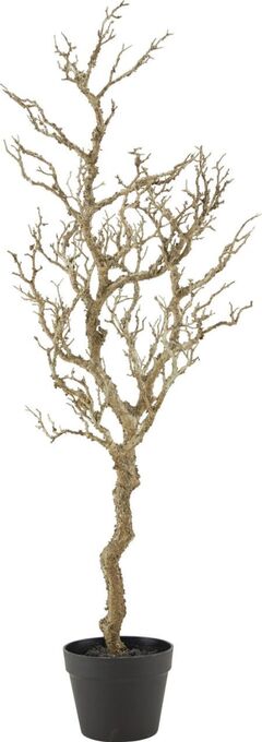 Mömax Dekozweig sam Angebot