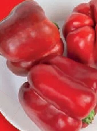Lidl Paprika Angebot