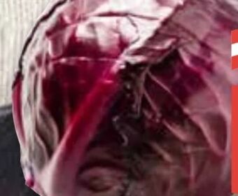 ADEG Rotkraut Angebot