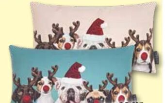 Möbel Ludwig Kissen Angebot