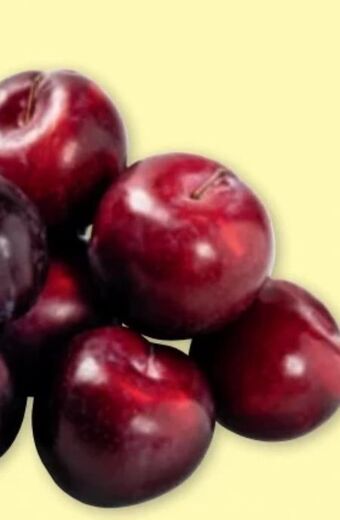 PENNY Pflaumen Angebot