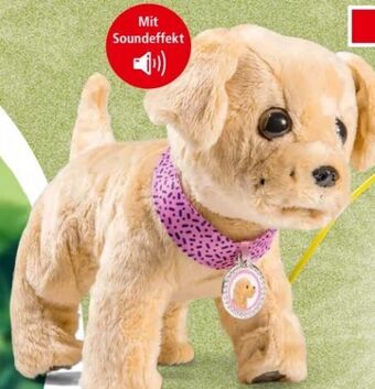 Interspar My lucky dog Angebot
