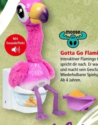 Interspar Gotta go flamingo Angebot